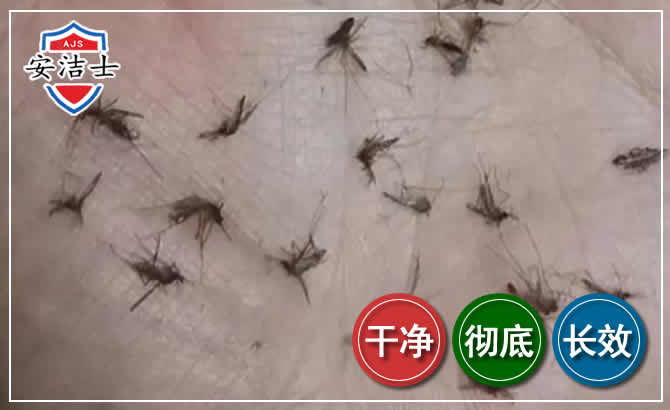三门蚊子防治-灭蚊