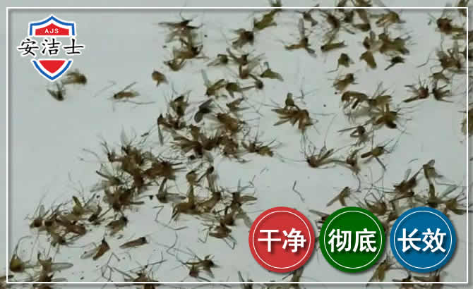 三门苍蝇防治-灭蝇