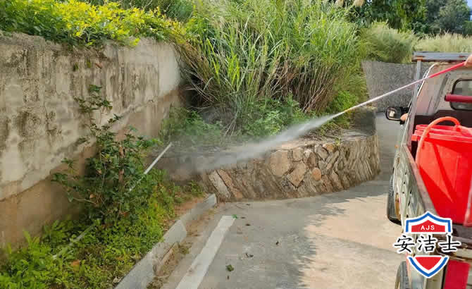 三门道路堤坝白蚁防治