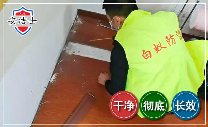 三门除四害现场