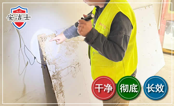 三门除白蚁现场