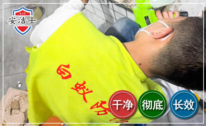 三门白蚁根治现场